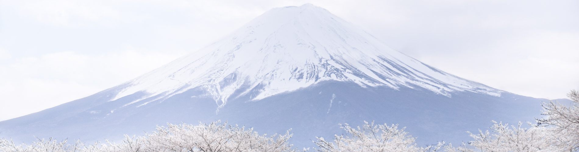 Mt Fuji, Japan