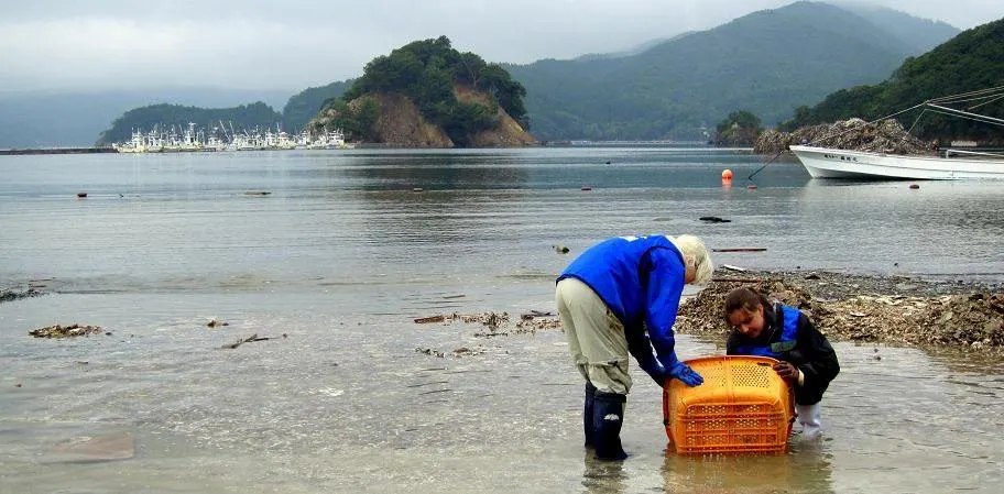 Tohoku, Japan, Ishinomaki, fishing, oysters, re-building, recovery, efforts, 3.11, March 11, 2011, tsunami, earthquake