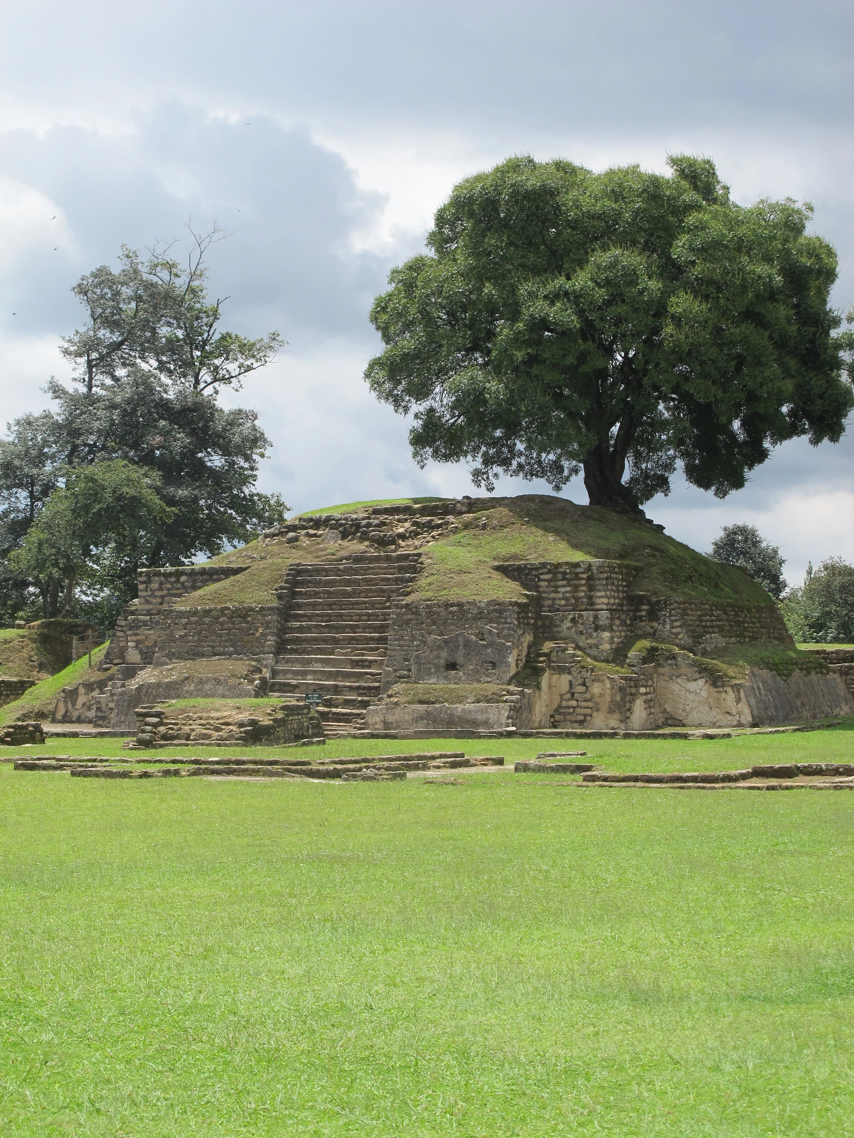 The Fertility Tree, Iximché ruins, Guatemala, Maya, Mayan, ruins