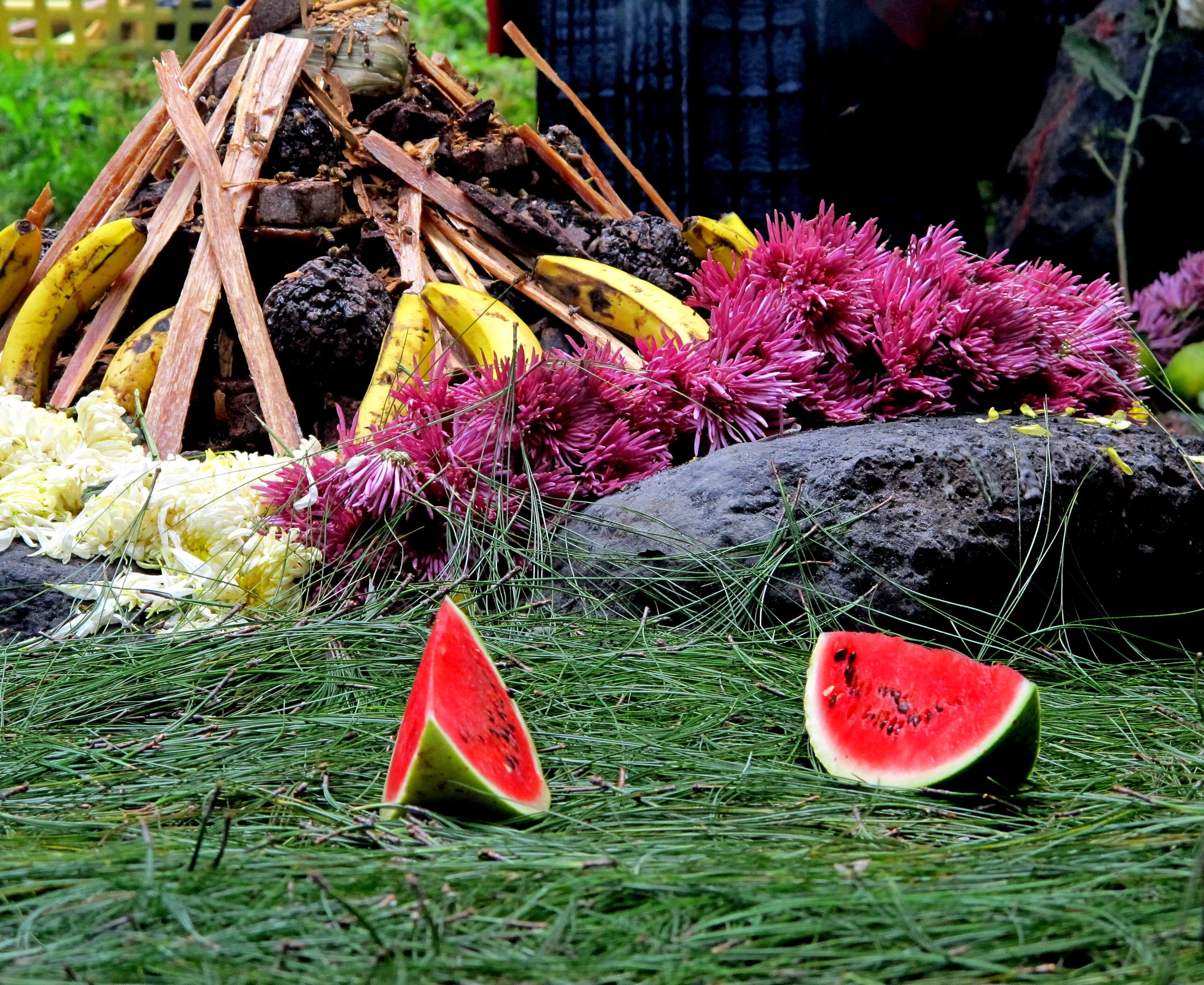 Mayan, summer solstice, ceremony, Maya, Guatemala, fruits, fire, flowers