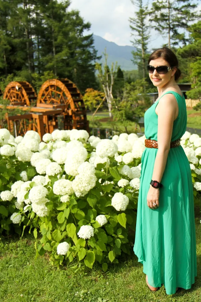 Yamanakako Flower Garden, Mt. Fuji, Japan