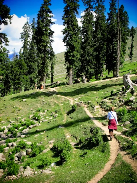 Himalayas, Kashmir, India, hiking, trekking, climbing