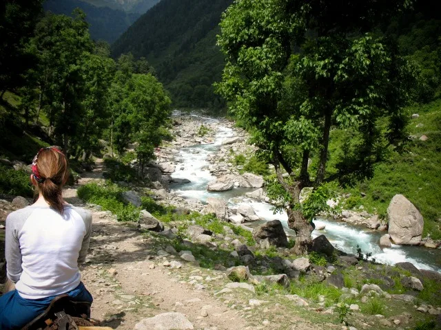 Ponies, Practice Hike, Himalayas, Kashmir, India