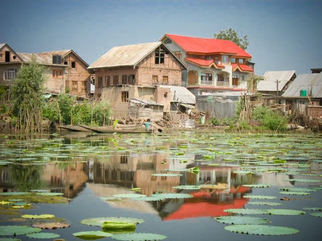 The water trek, Srinagar, Kashmir, India