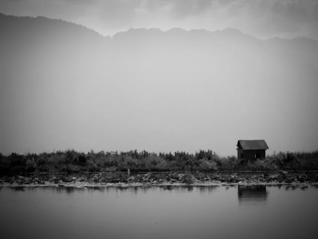 The water trek, Srinagar, Kashmir, India