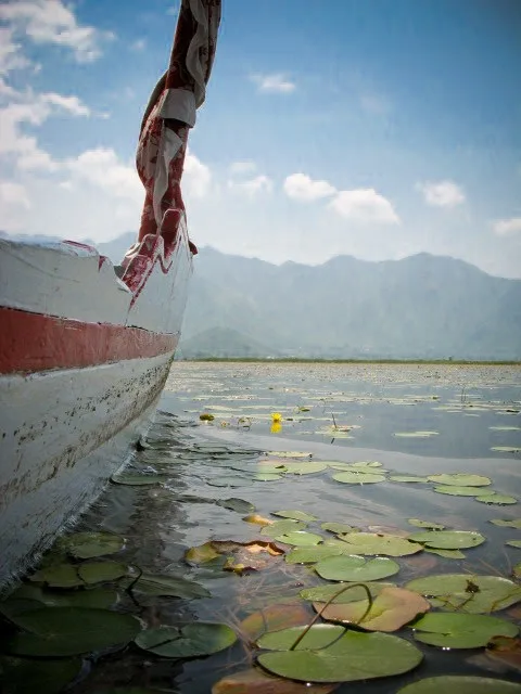 The water trek, Srinagar, Kashmir, India