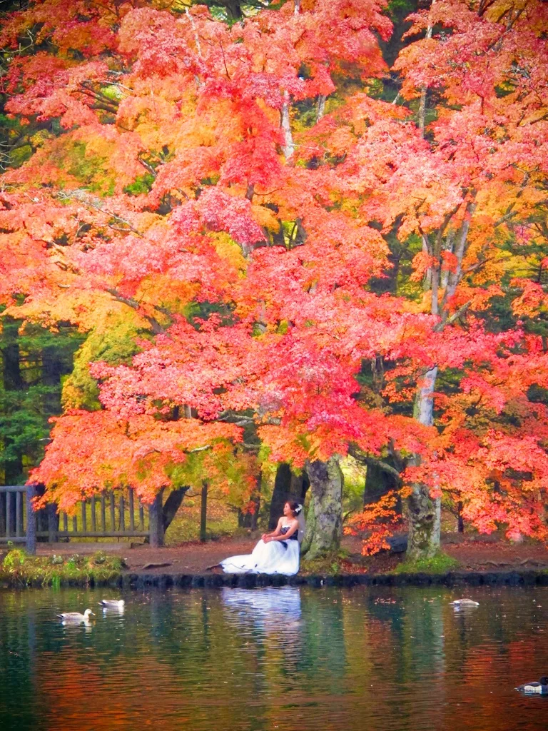 Kumoba Pond, Karuizawa, Nagano, Japan