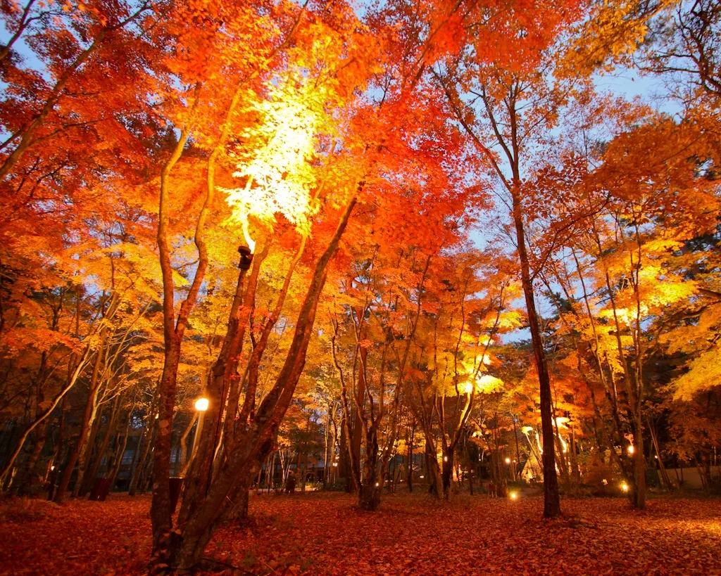 Karuizawa, Nagano, Japan