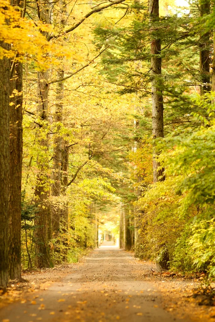 Karuizawa, Nagano, Japan