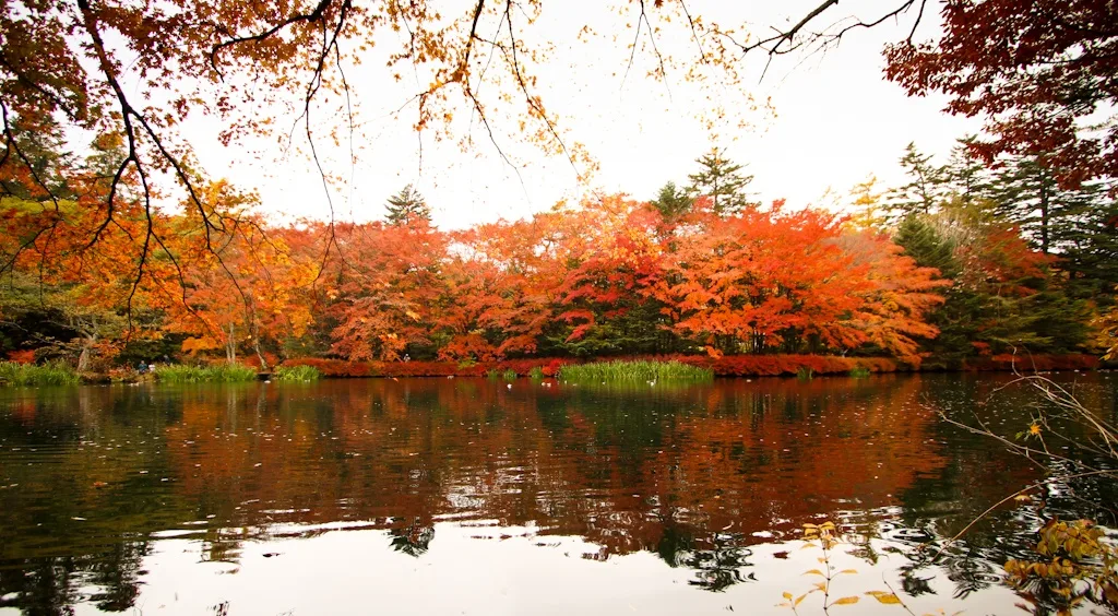 Kumoba Pond, Karuizawa, Nagano, Japan