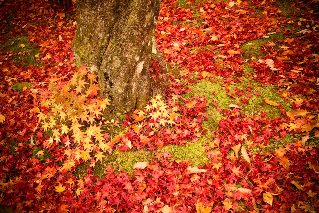 Karuizawa, Nagano, Japan