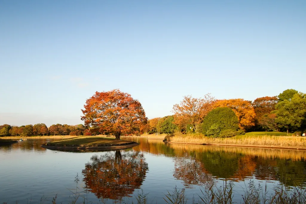 Showa Kinen Kōen, Tokyo, Japan