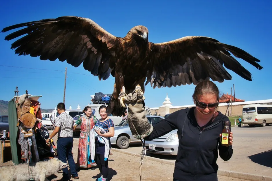 Golden Eagle, Kharakorum, Mongolia