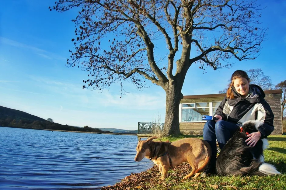 House sitting, The UK