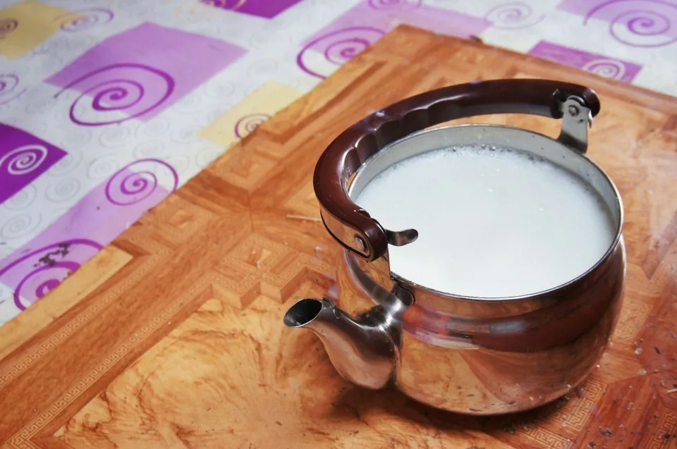 Fermented mare's milk, Mongolia