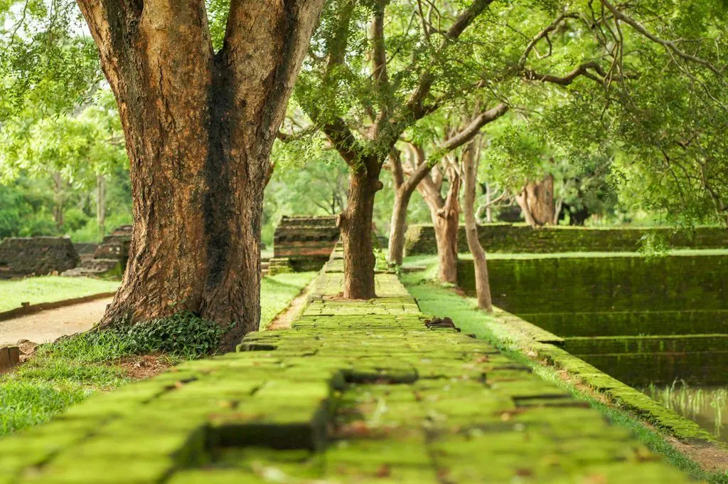 My Sri Lanka - Sigiriya