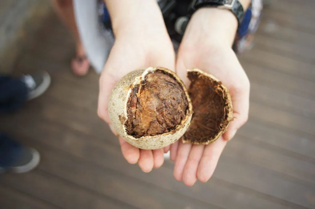 My Sri Lanka - Wood Apple