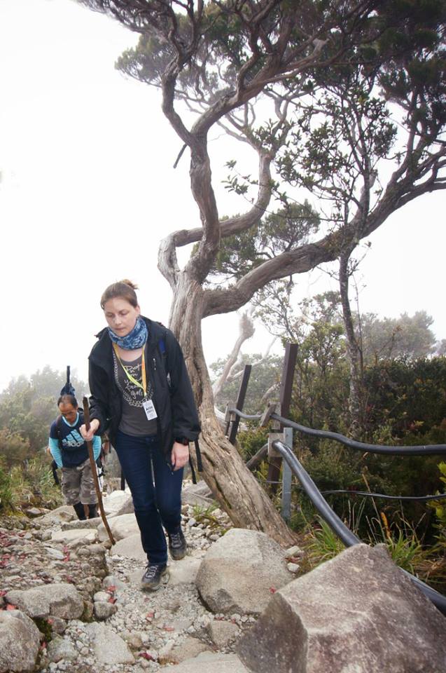 The author proceeding up rocky terrain with trees and shrubs on either side of the trail.