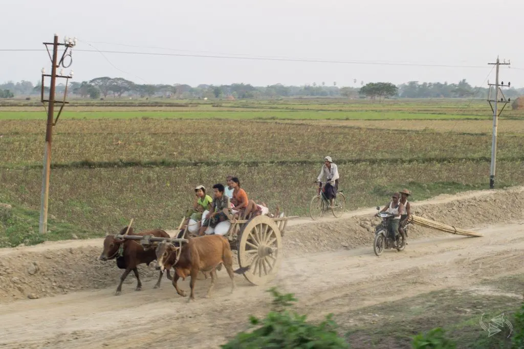 Slow Train from Thazi scenery