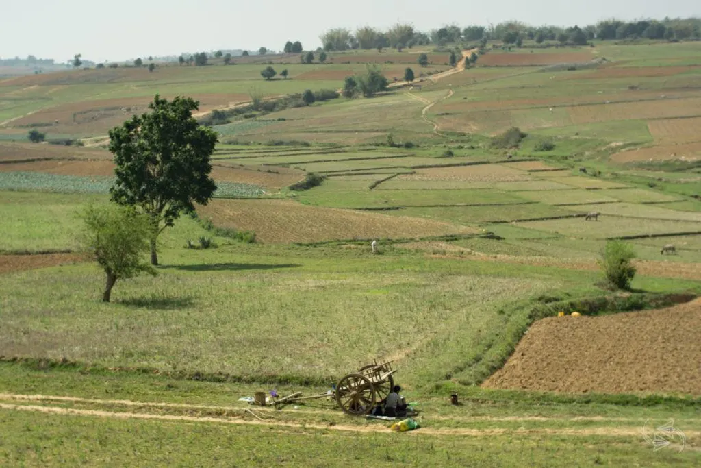 Slow Train from Thazi scenery