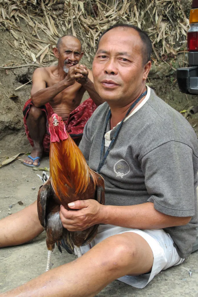 One of the cock fighters I met poses for the camera while stroking his rooster.