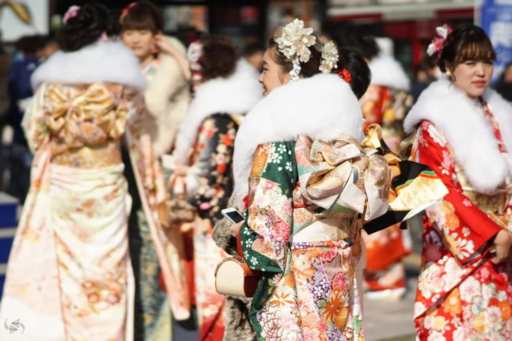 A Japanese woman stands side-on to the camera in her furisode kimono, showing her elaborate hair accessories, large obi bow and her coordinated bag on her forearm. Other women similarly dressed for Japan's Coming of Age Day stand to her side and in the background.