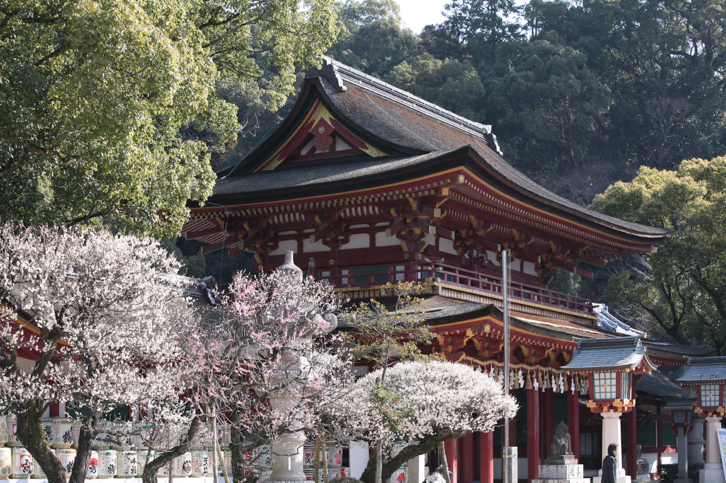 Dazaifu Tenmangu Shrine gate with plum blossoms in the foreground.