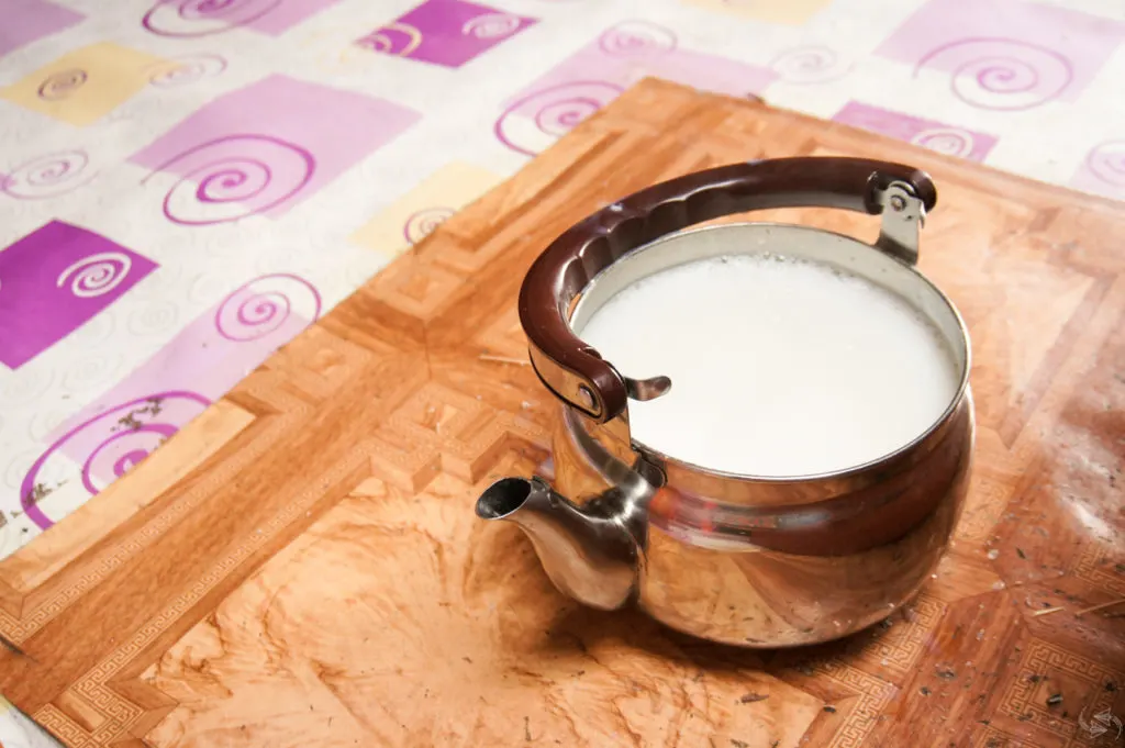 A metal kettle without the lid on full of fresh yak's milk sits on a wooden board ready to be served.