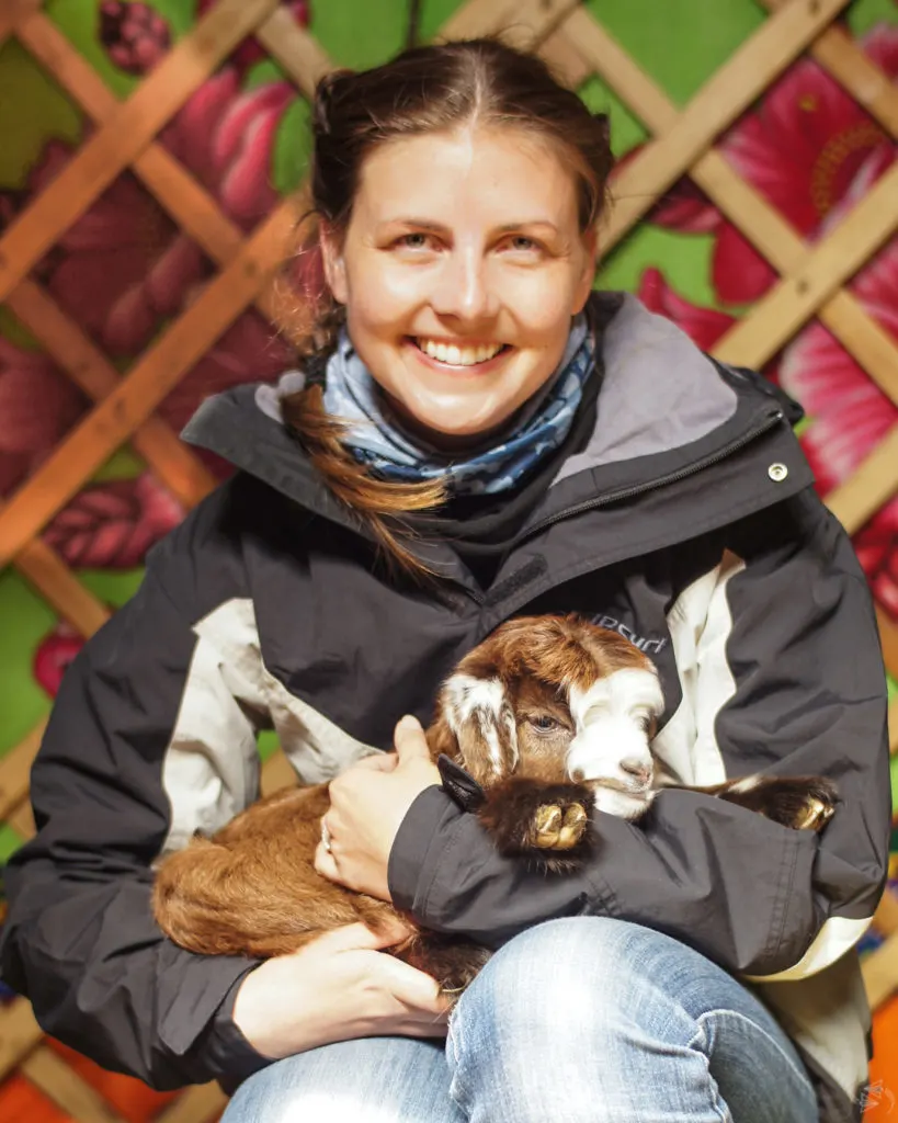 The author inside a ger for livestock holding a brown and white baby goat.