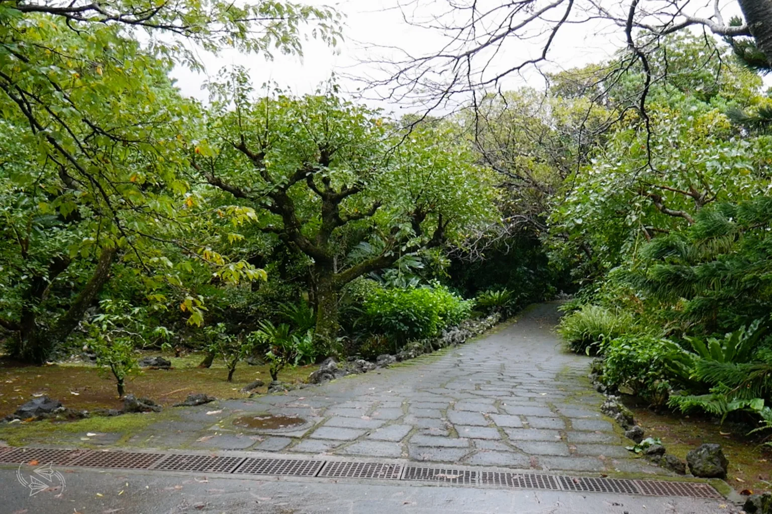 hachijo botanical gardens hachijojima tokyo japan