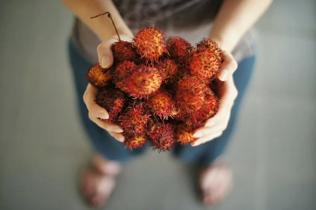 Handful of Rambutan