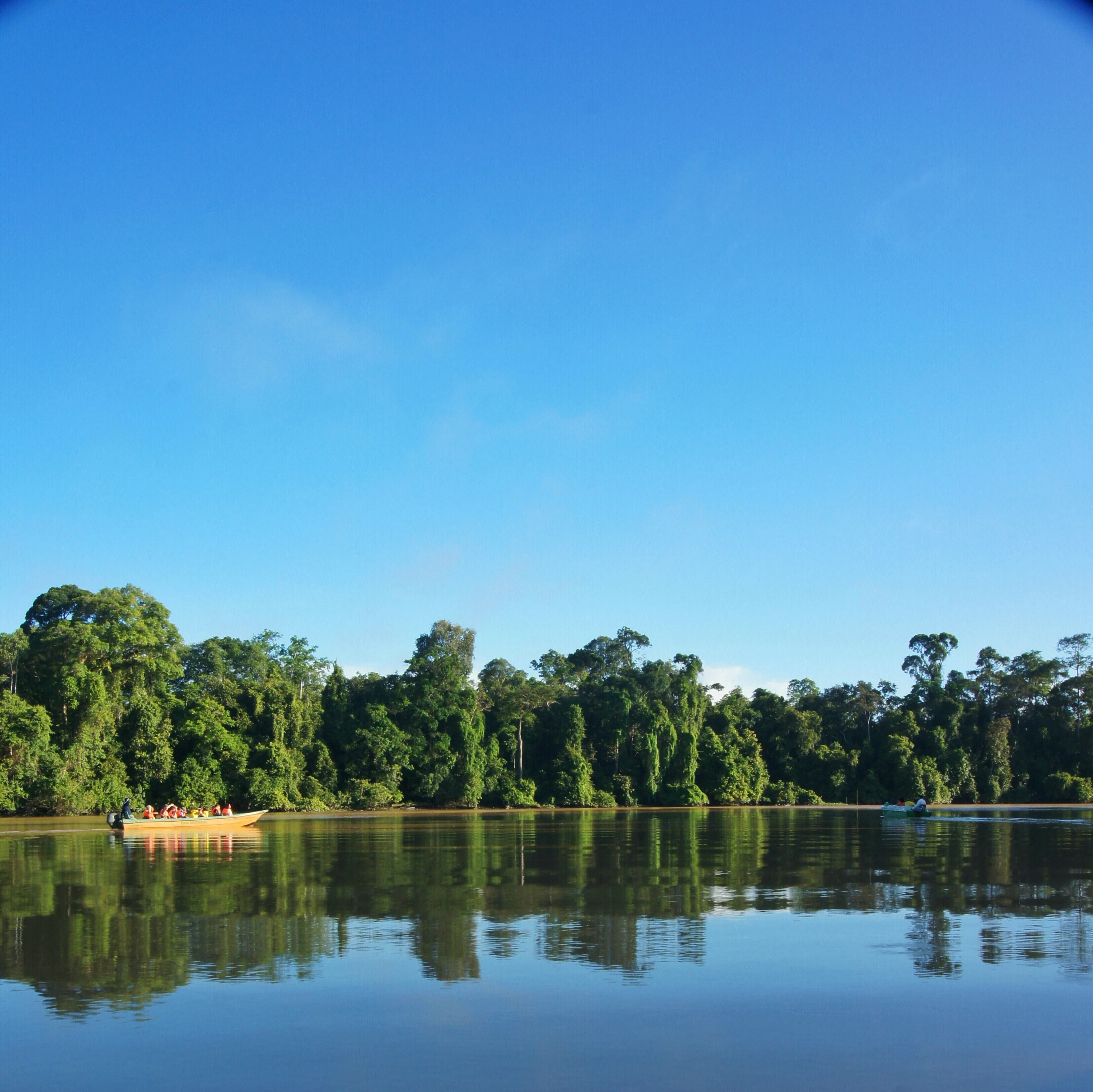 Kinabatangan River