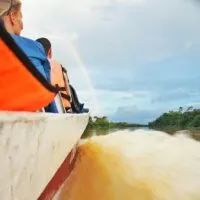 Kinabatangan River cruise