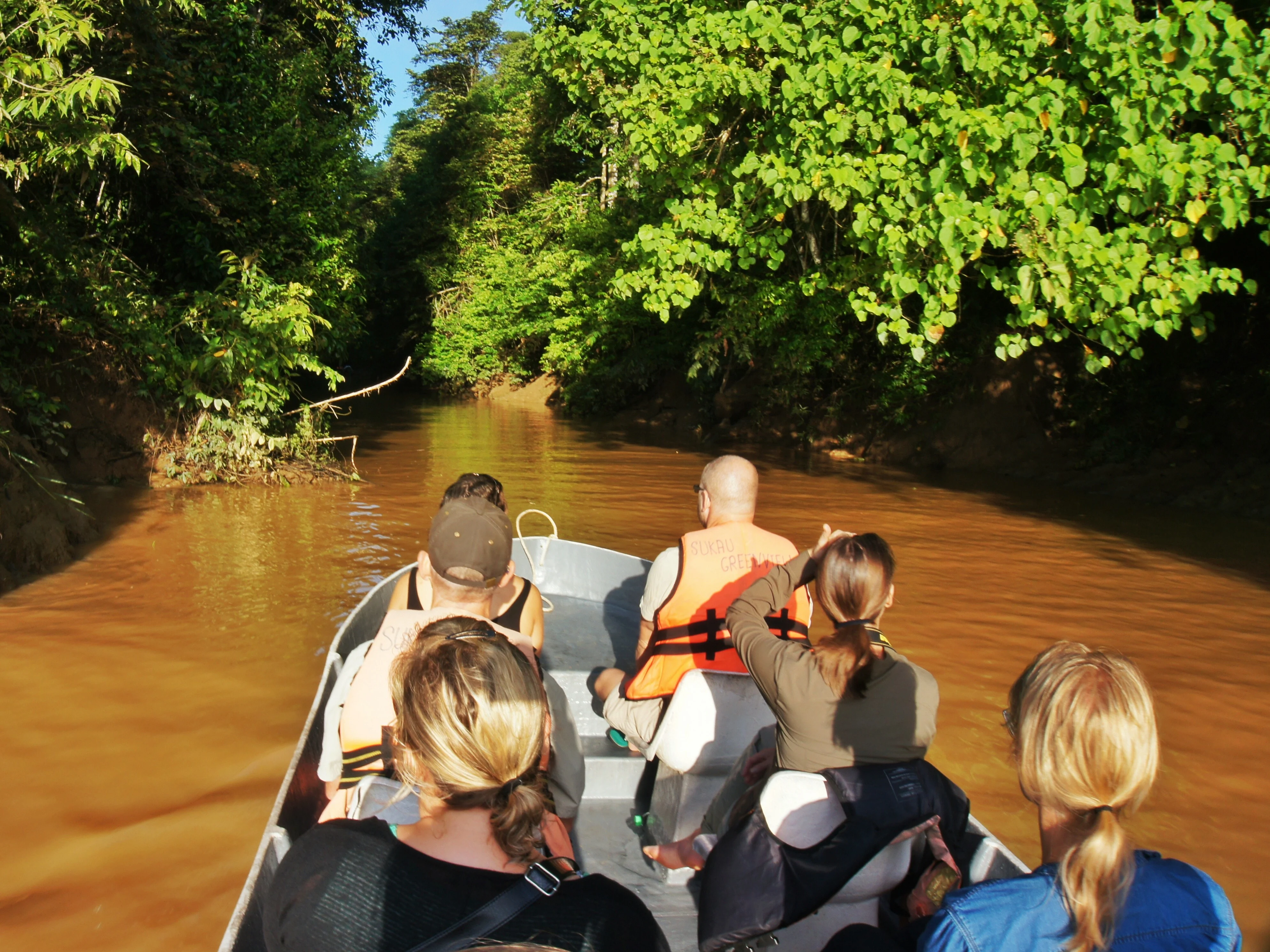 Kinabatangan River, Borneo, Malaysia