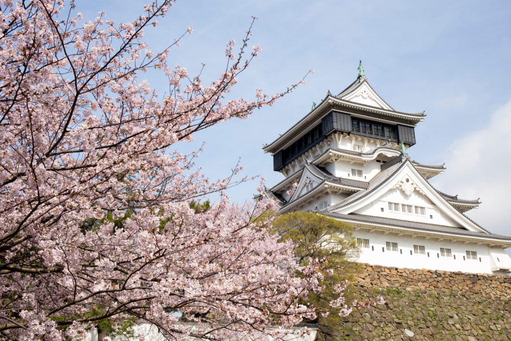 Kokura Castle keep stands in the background with blooming cherry blossoms in the foreground.