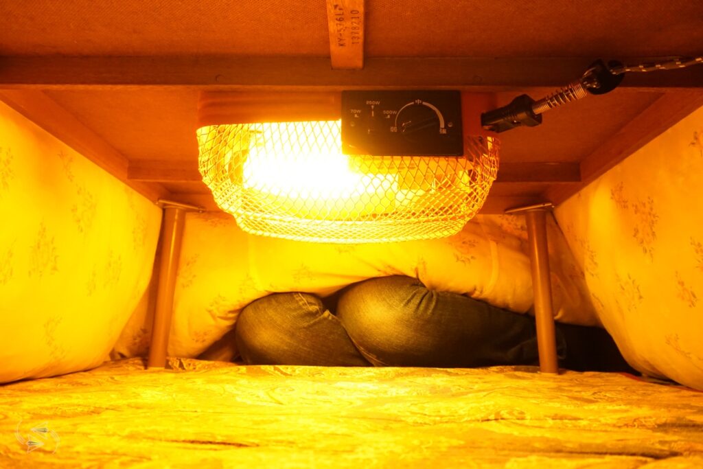 11 easy ways to stay warm on your trip to Japan in winter