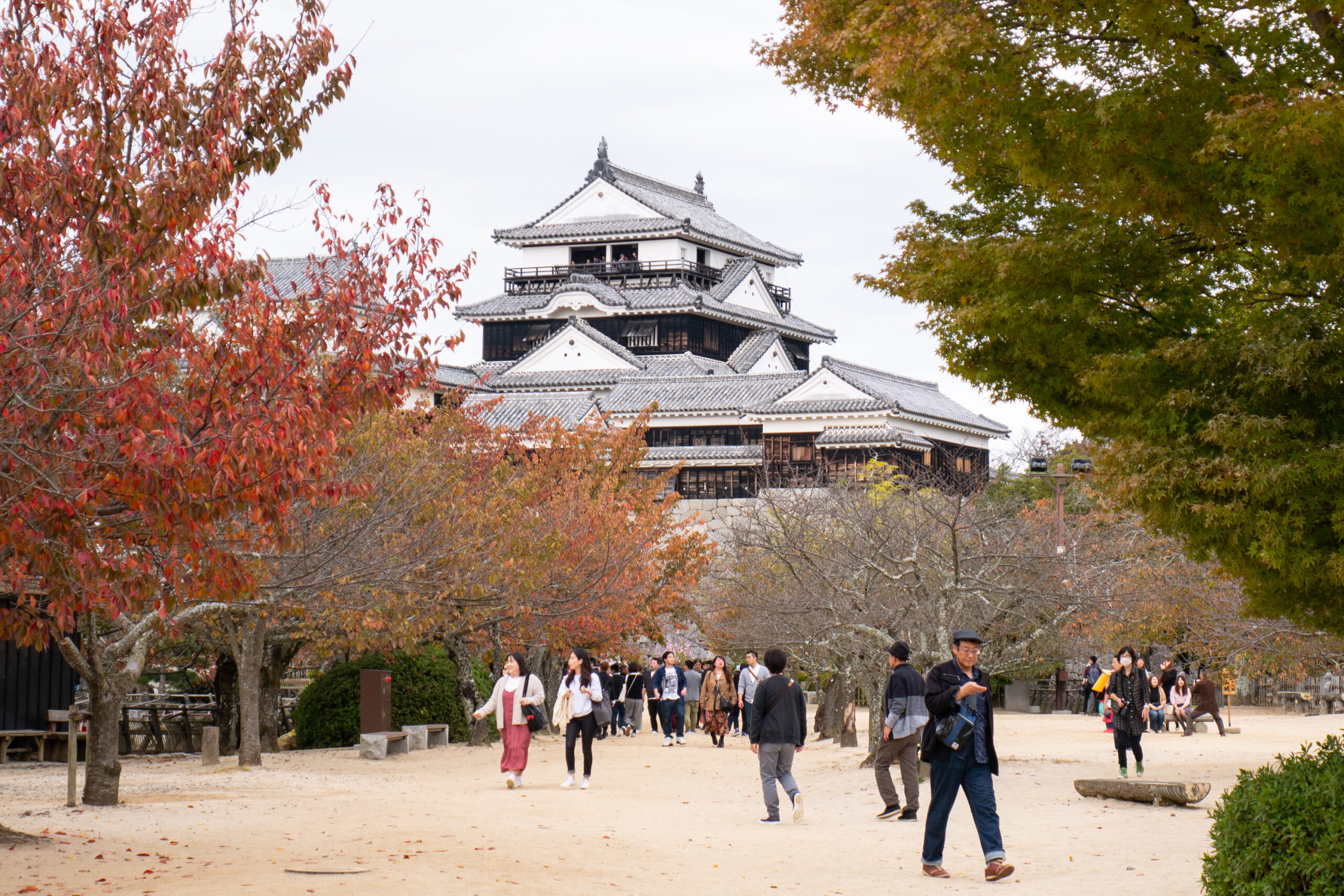 7 Interesting Things to do in Matsuyama, Japan (plus combining your
