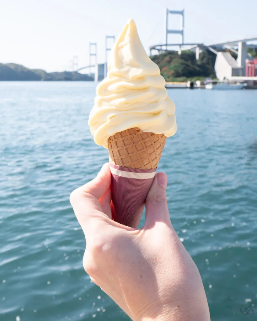 mikan soft cream at oshima rest stop