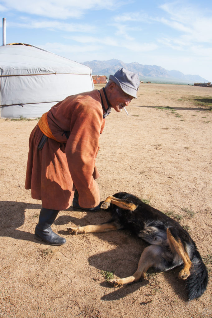 A Mongolian ger owner with a cigarette in his mouth gives his dog, who is lying on the ground with its belly exposed, a pet.
