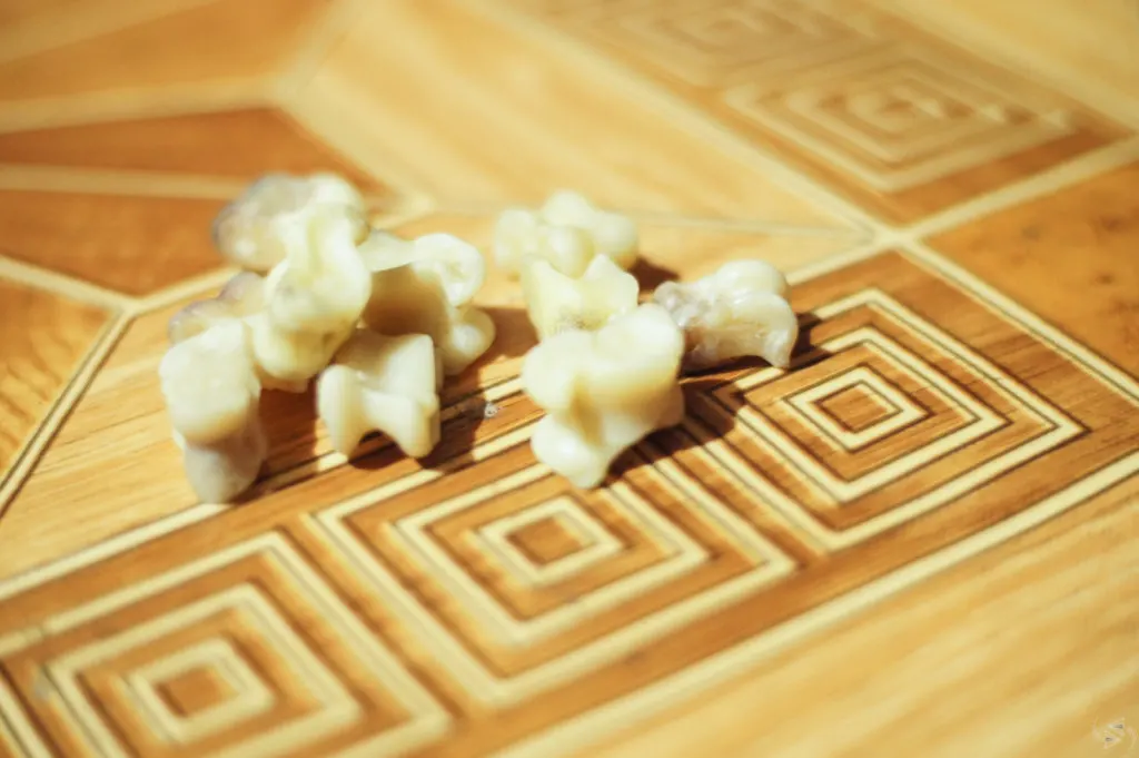 The ankle bones of sheep and camel sit on a table in a ger to play a Mongolian game.