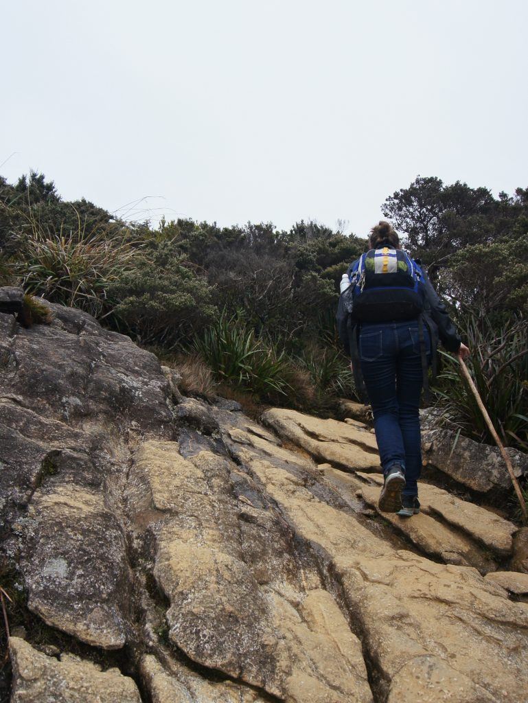 The author proceeds up a sheer rockface as the path becomes steeper towards Panalaban rest stop.