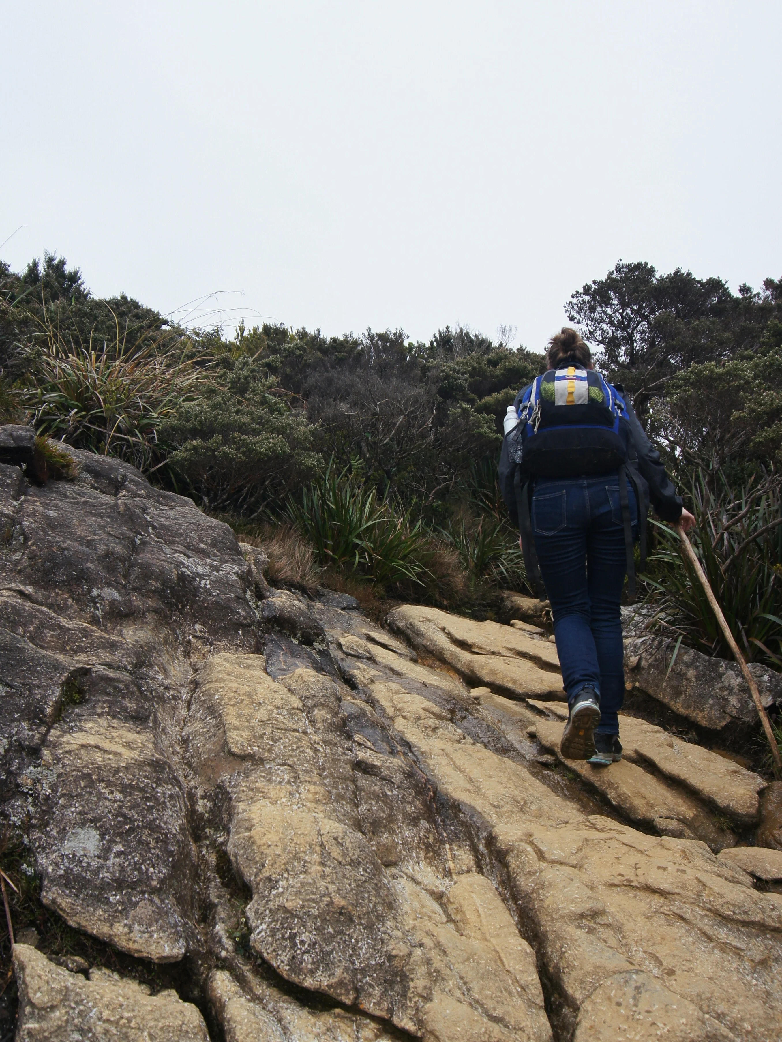 Mt. Kinabalu, Borneo, Malaysia