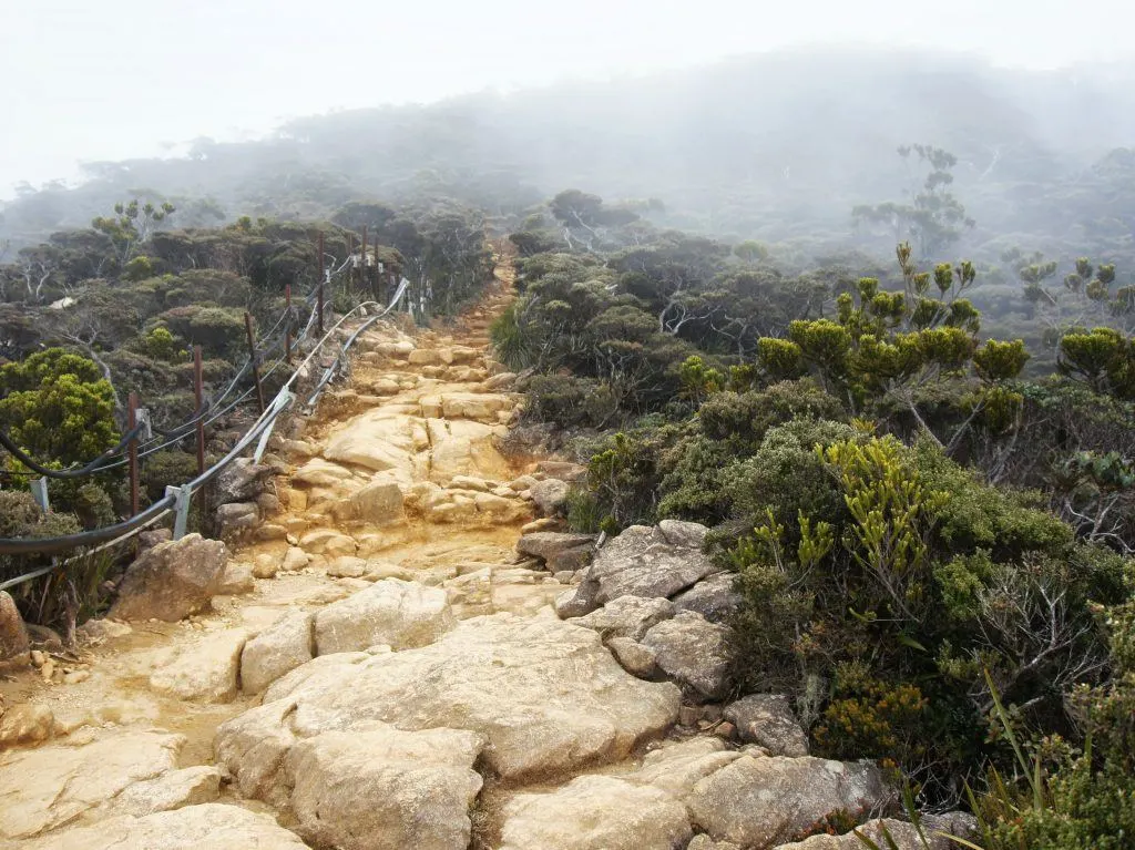 The rocky trail leading up to Panalaban rest stop shrouded in fog and with shrubbery on either side.