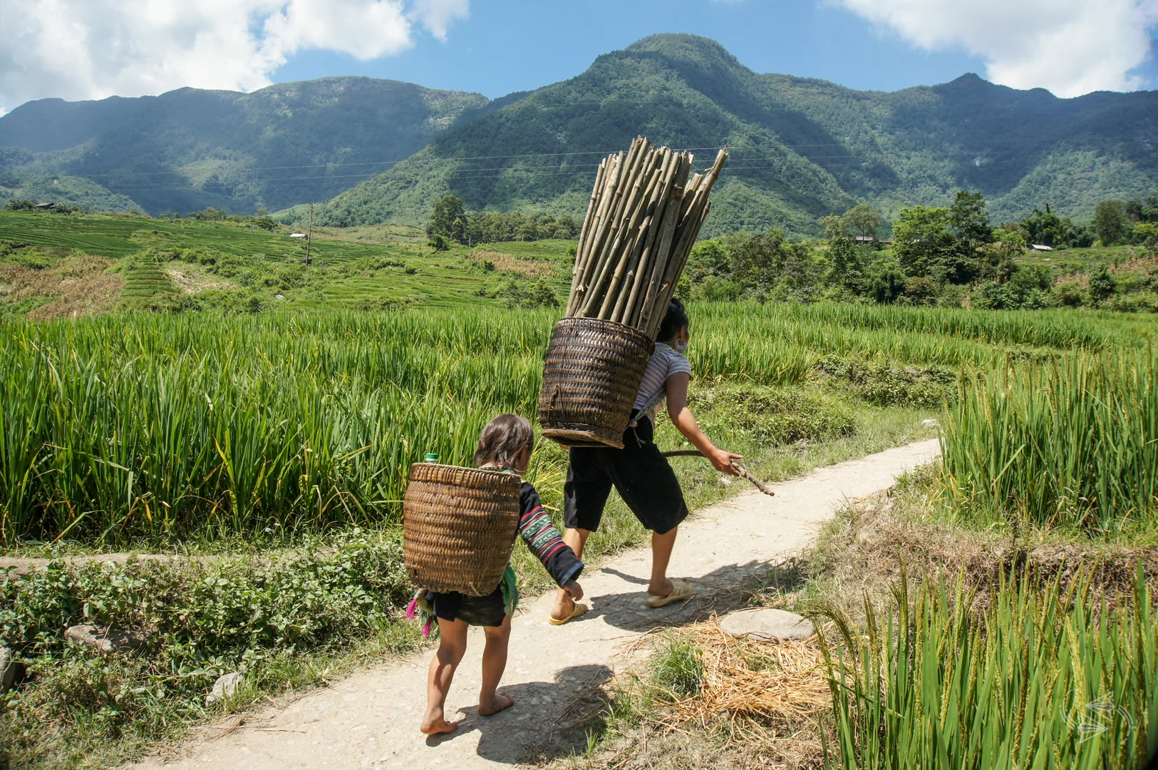 sapa hiking