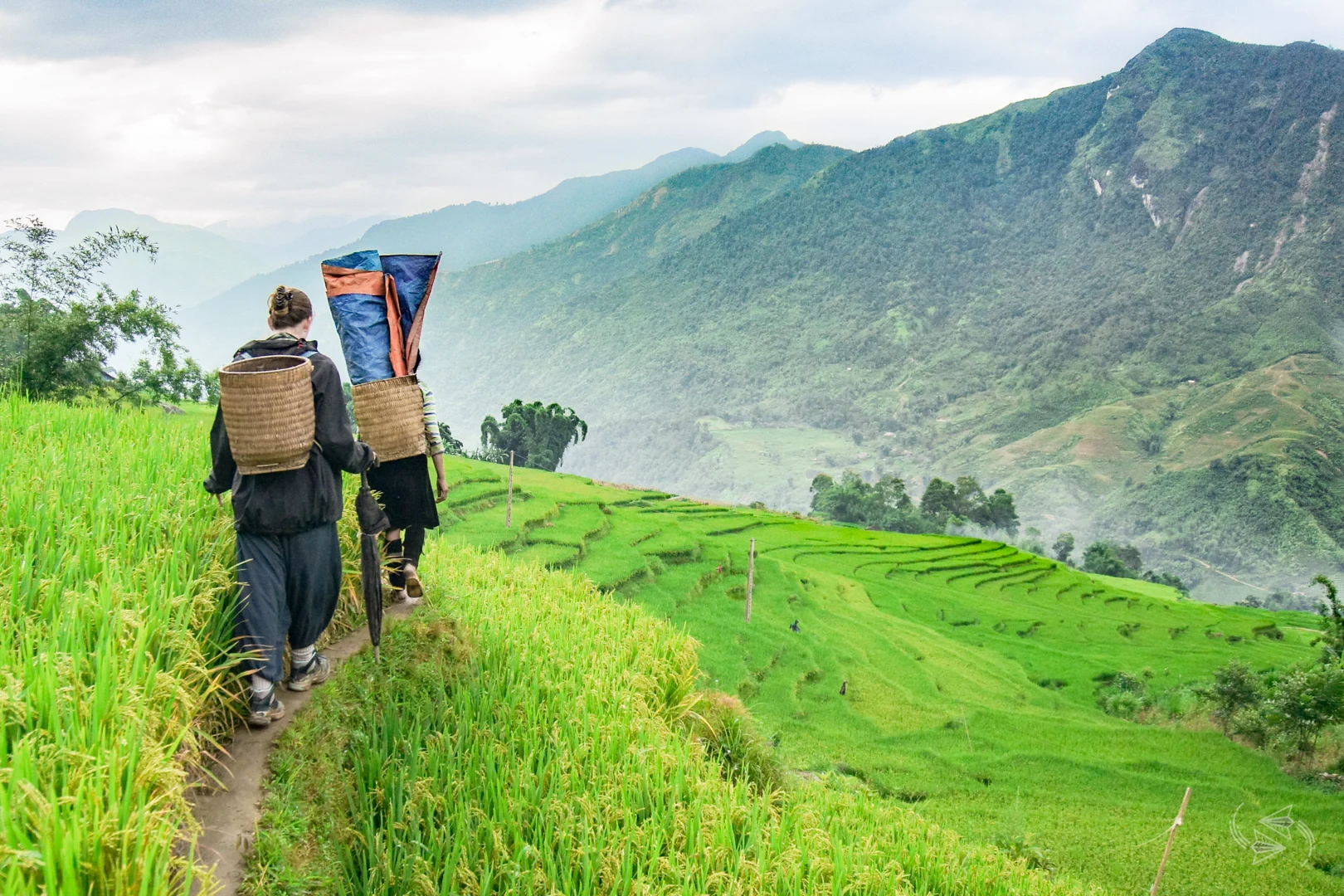 sapa valley views