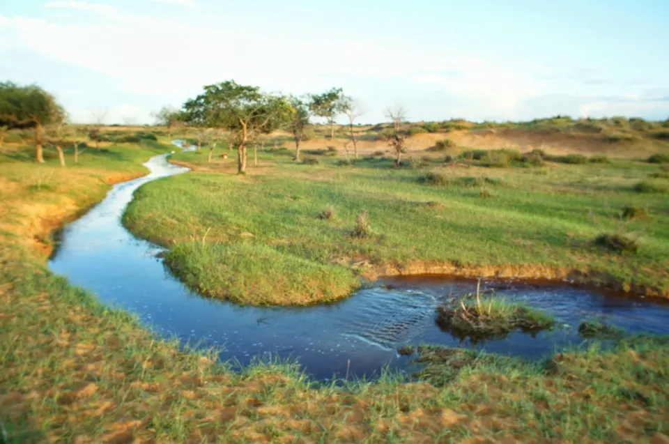 Semi Gobi, Central Mongolia