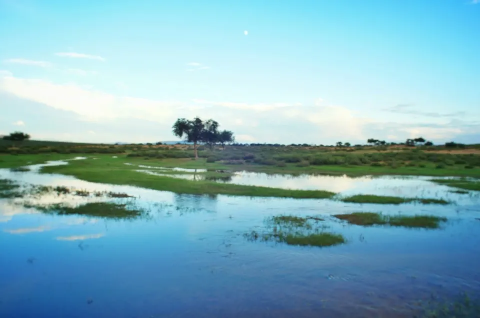 Semi Gobi, Central Mongolia
