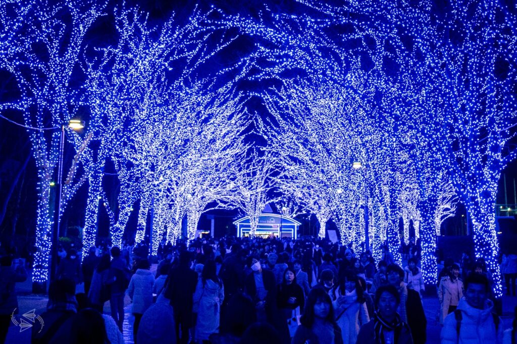 15 Top Places to see Christmas lights in Tokyo 201819