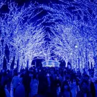 shibuya ao no dokutsu winter illuminations