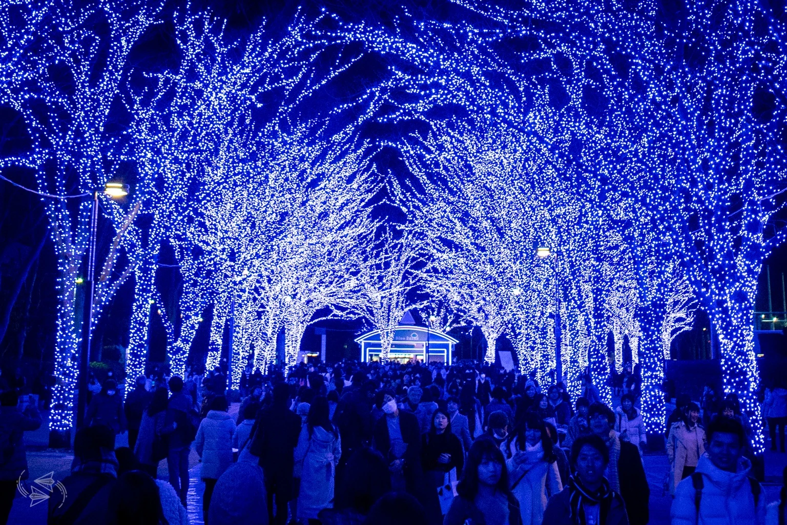shibuya ao no dokutsu winter illuminations